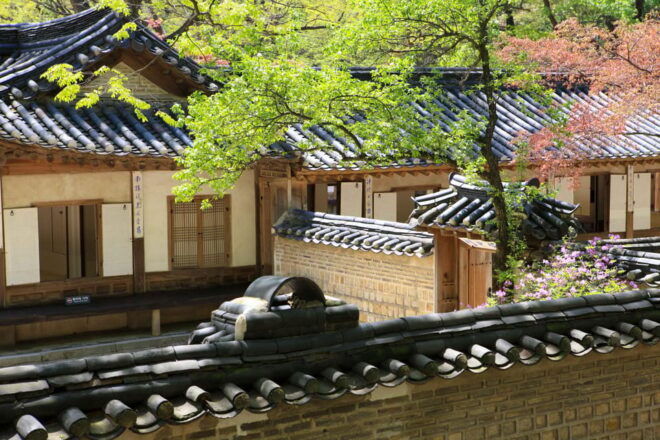 Seoul City Secret Garden Palace Walking Tour - Exploring Changdeokgung Palace