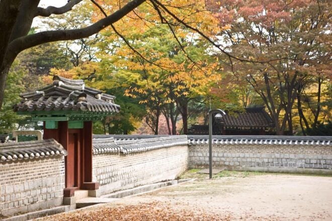 Seoul City Secret Garden Palace Walking Tour - Leisure Time in Insadong
