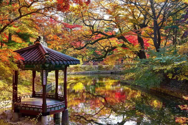 Seoul City Secret Garden Palace Walking Tour - Scenic Cheonggyecheon Stream