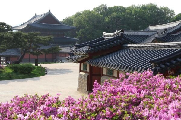Seoul City Secret Garden Palace Walking Tour - Inclusions and Amenities