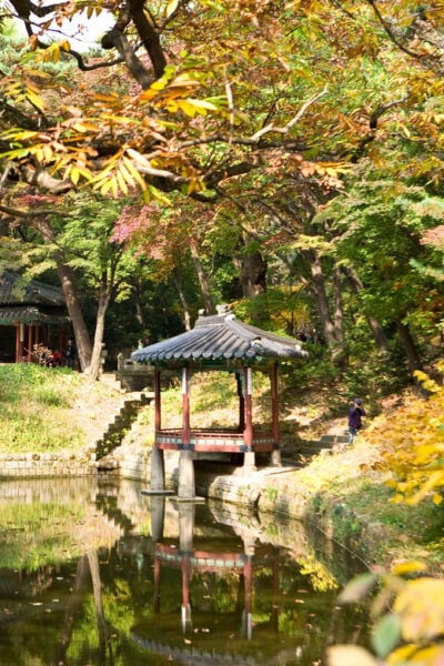 Seoul City Secret Garden Palace Walking Tour - Questions You May Have