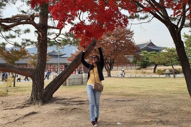 Seoul City Tour - Common Questions
