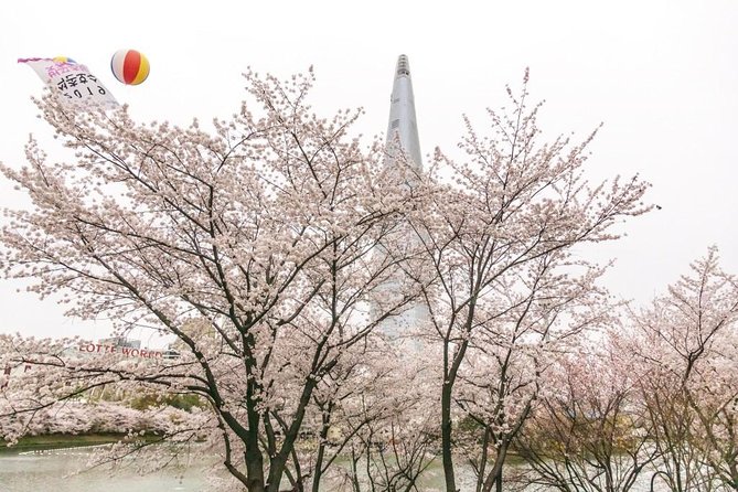 Seoul City Tour - Free Photo Service - Tour Highlights