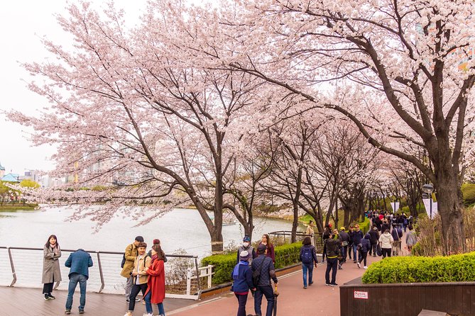 Seoul City Tour - Free Photo Service - Tour Itinerary