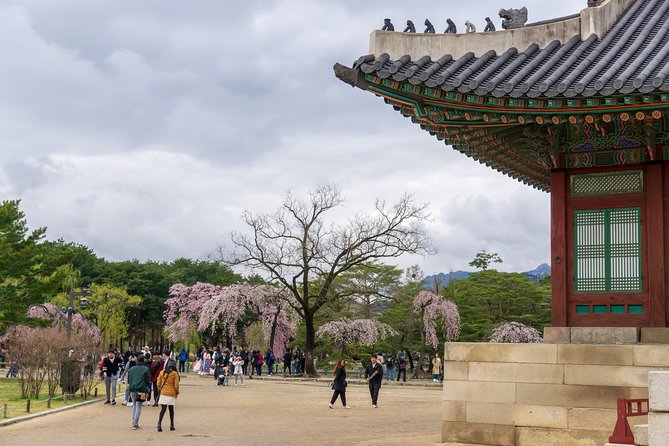Seoul City Tour - Free Photo Service - Customer Testimonials and Reviews