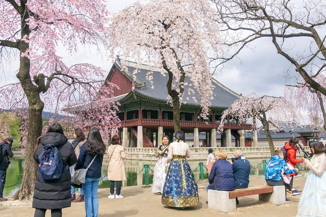 Seoul City Tour - Free Photo Service - Common Questions