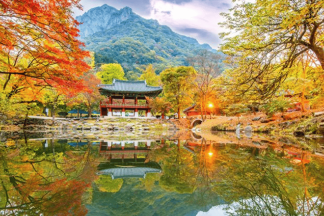 Seoul: Classic Naejangsan National Park One Day Tour - Pricing and Reservations