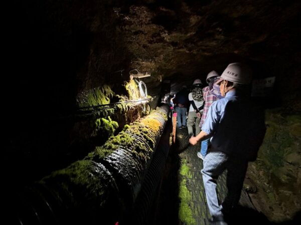 Seoul: Closest DMZ Border and War History Tour With Meals - Group 2: Tour Experience