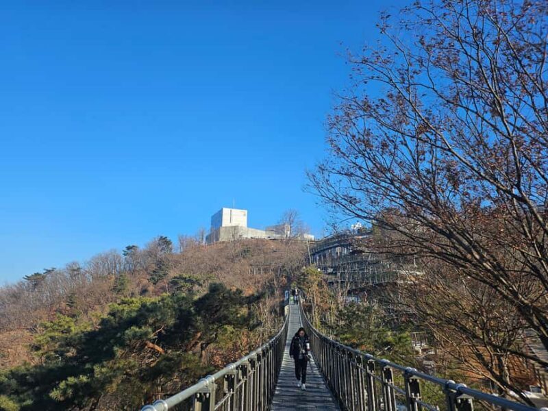 Seoul: Closest Observatory with North Korea View - Authentic Insights and Tips from Reviewers