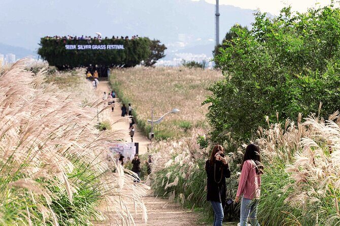 Seoul : Closest Starbucks to DMZ + Hidden Hanok Village Day Tour - Good To Know