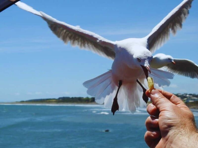 Seoul: Coastal Rail Bike, Sorae Park and Fairytale Village - The Sum Up: Who Should Consider This Tour?