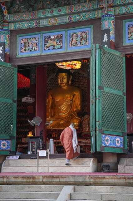 Seoul: Customized Private Walking Tour with a Local Guide - The Experience in Detail