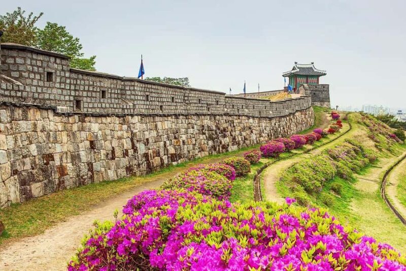 Seoul Day Tour: Suwon Hwaseong Fortress & Cherry Blossoms - FAQ
