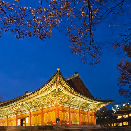 Seoul Deoksugung Palace Half-Day Architecture Tour - Seokjojeon and the Western-style contrast