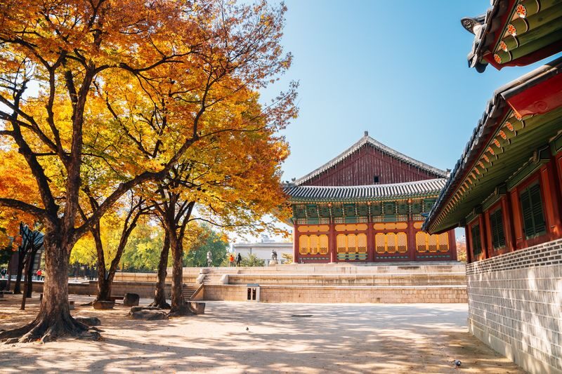 Seoul Deoksugung Palace Half-Day Architecture Tour - How much the tour is worth