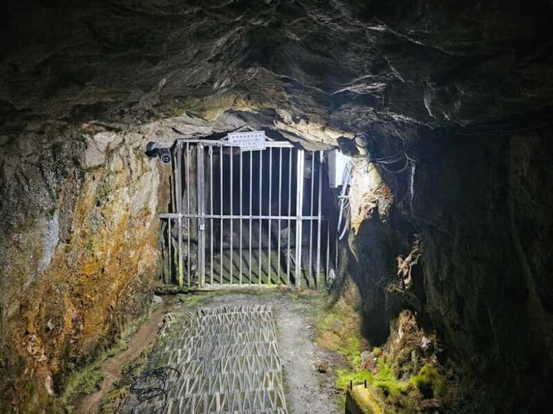 Seoul: DMZ 2nd Tunnel and Suspension Bridge Tour - Authentic Insights from Reviews