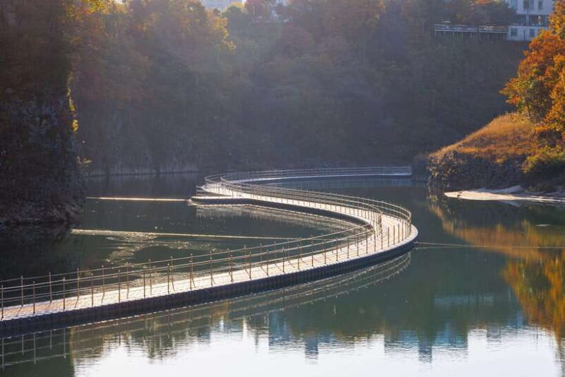 Seoul: DMZ 2nd Tunnel and Suspension Bridge Tour - Final Thoughts