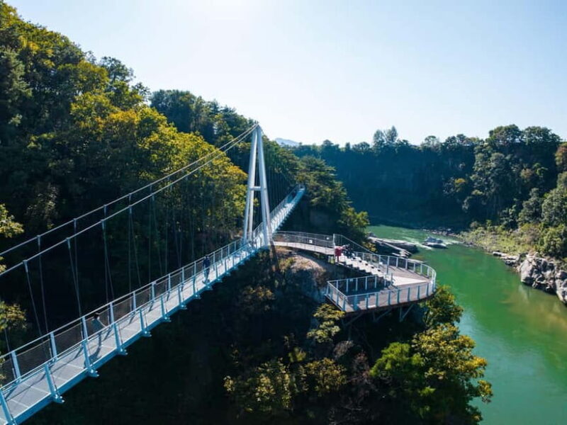 Seoul: DMZ 2nd Tunnel and Suspension Bridge Tour - Authentic Insights from Past Travelers  