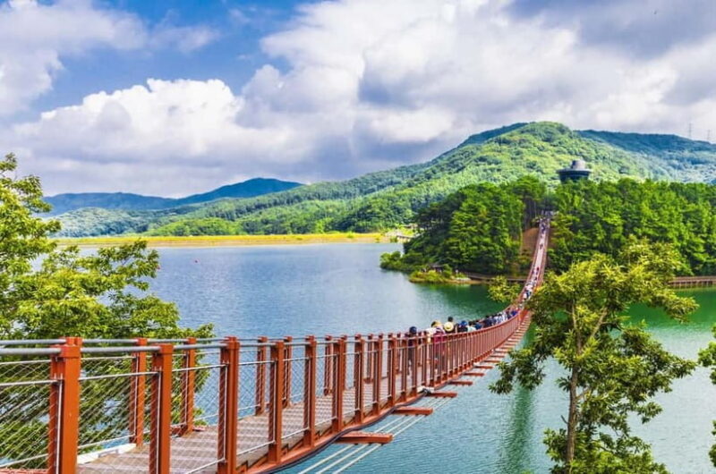 Seoul: DMZ, 3rd Tunnel and Optional Suspension Bridge Tour - Good To Know