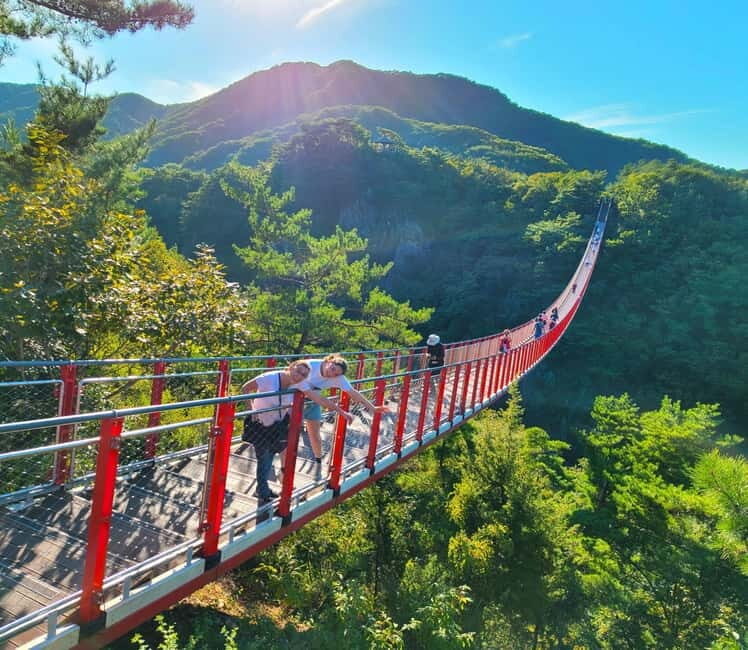 Seoul: DMZ, 3rd Tunnel and Optional Suspension Bridge Tour - An In-Depth Look at the Tour Experience