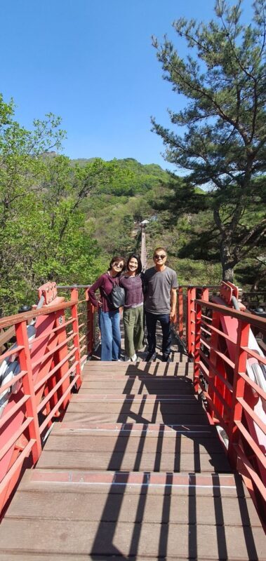 Seoul DMZ 3rd Tunnel & Gamaksan Suspension Bridge Private Exploration - What a private guide adds