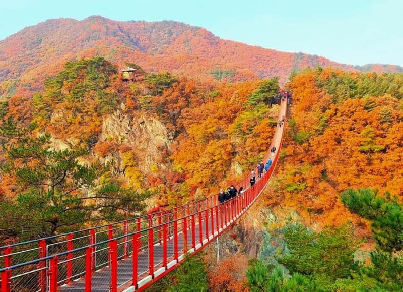 Seoul: DMZ, 3rd Tunnel, Suspension Bridge Small Group Tour - Authentic Experiences and Tips from Reviews