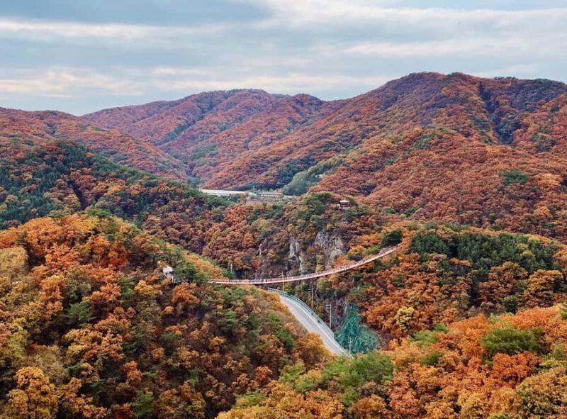 Seoul: DMZ, 3rd Tunnel, Suspension Bridge Small Group Tour - The Sum Up