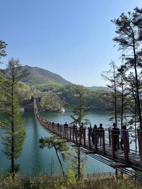 Seoul: DMZ 3rd Tunnel Tour (Optional Suspension Bridge) - Important Information