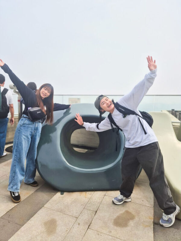 Seoul: DMZ Aegibong Starbucks & Hanok & Scenic/Historical Day Tour - Practical details before you book
