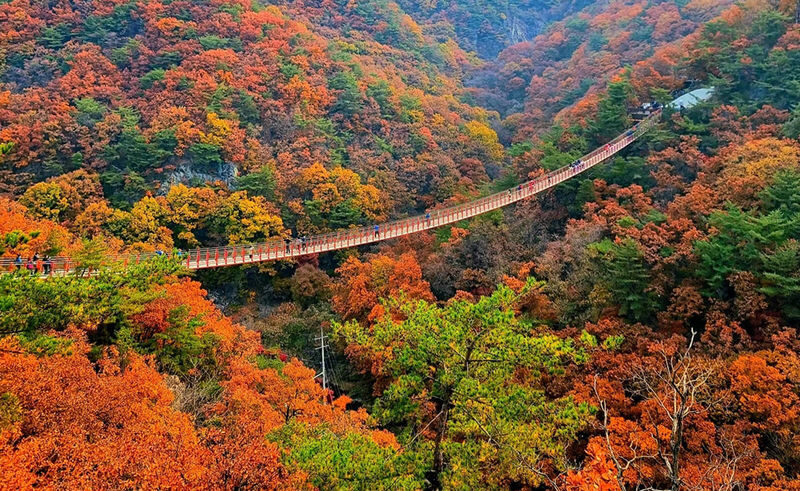 Seoul DMZ & Gamaksan Mountain Small Group Tour - The Third Infiltration Tunnel: steep, memorable and camera-free