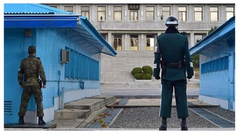 Seoul: DMZ Private Tour, 3rd Tunnel, and Suspension Bridge - Who Will Love This Tour?