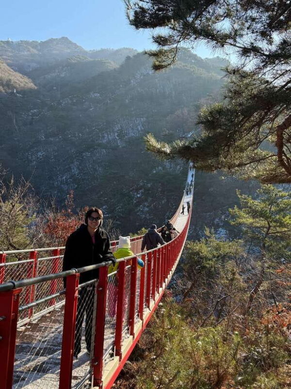 Seoul: DMZ Tour & North Korean Defector Meet Up (As Add-on) - Dora Observatory: Gazing into North Korea