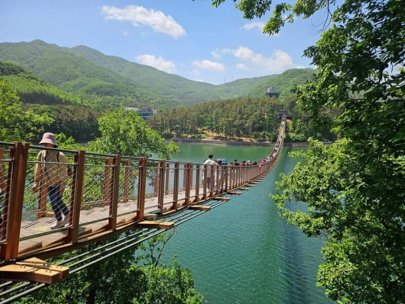 Seoul: DMZ Tour & North Korean Defector Meet Up (As Add-on) - The Suspension Bridges and Alternative Routes