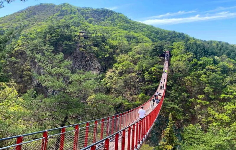 Seoul: DMZ Tour & North Korean Defector Meet Up (As Add-on) - Good To Know