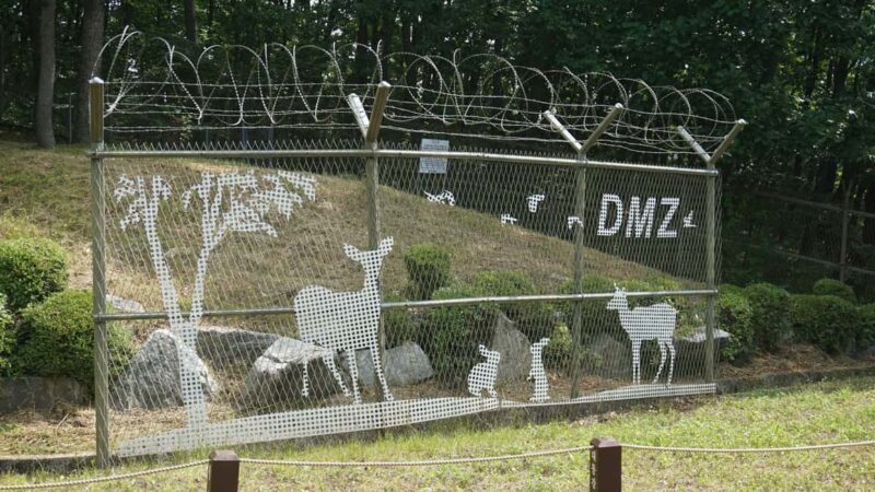 Seoul: DMZ Tour with Optional Suspension Bridge - Mount Dora and Dora Observatory