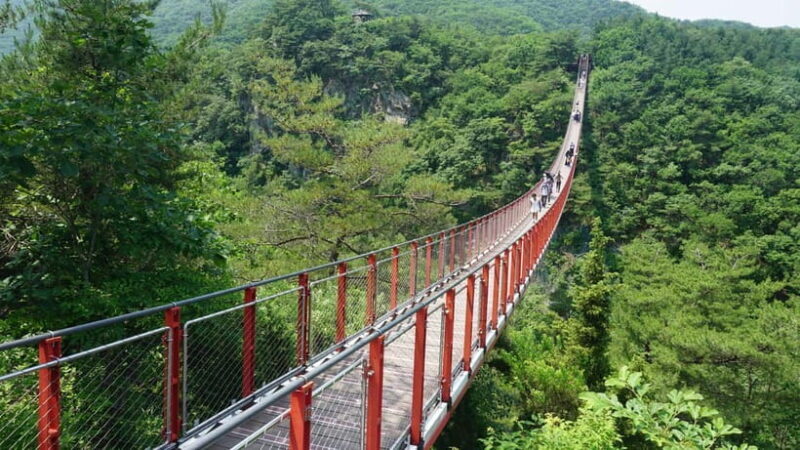 Seoul: DMZ Tour with Optional Suspension Bridge - A practical guide to the DMZ Tour with Optional Suspension Bridge