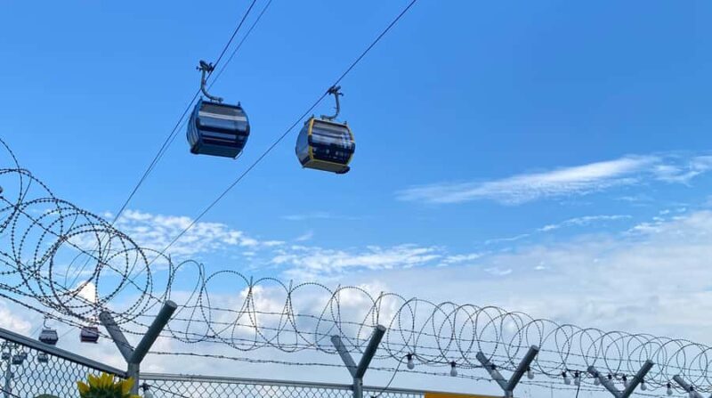 Seoul: DMZ Tour with Visit to Gallery Greaves - The Details: What to Expect from the Tour