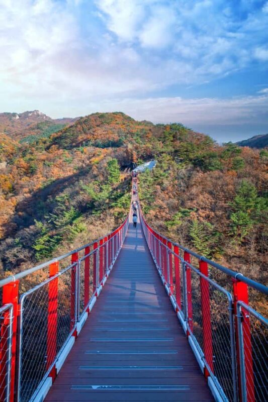 Seoul: DMZ with Optional Suspension Bridge, North Korea View - Who Would Love This Tour?