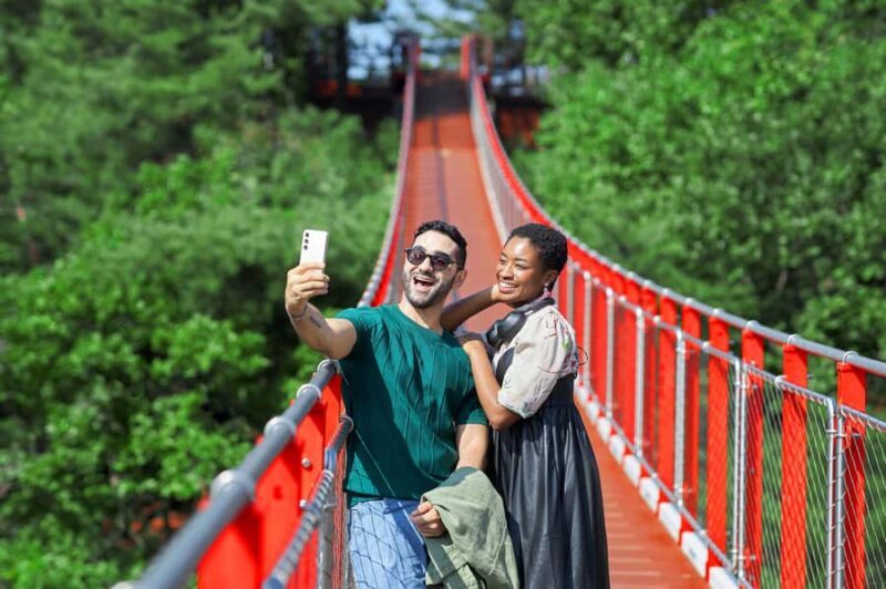 Seoul: DMZ with Optional Suspension Bridge, North Korea View - An In-Depth Look at the Tour Experience