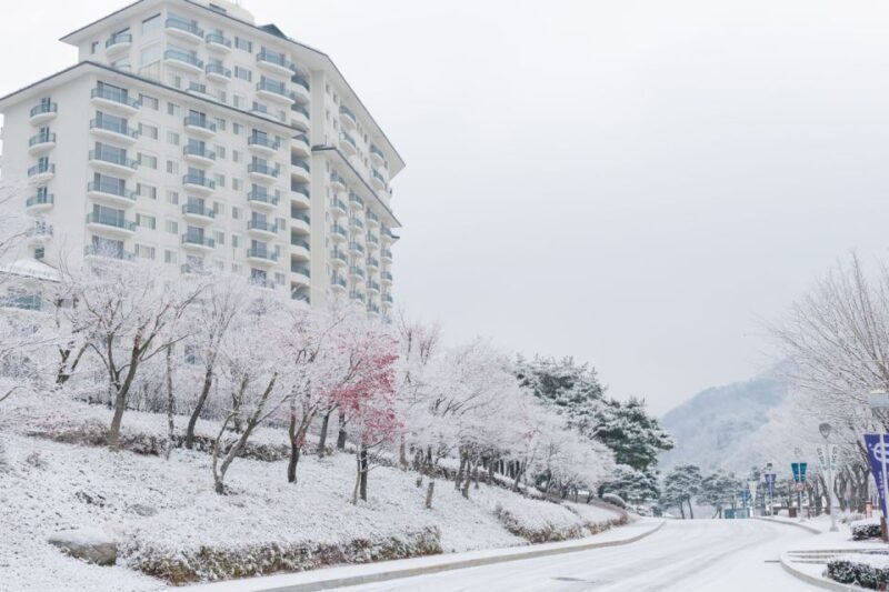 Seoul: Elysian Gangchon Winter Ski with Nami Island Day Tour - The Sum Up  