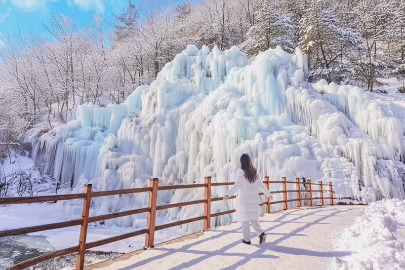 Seoul Eobi Ice Valley & Nami Island Winter Day Tour - Key points to know before you book