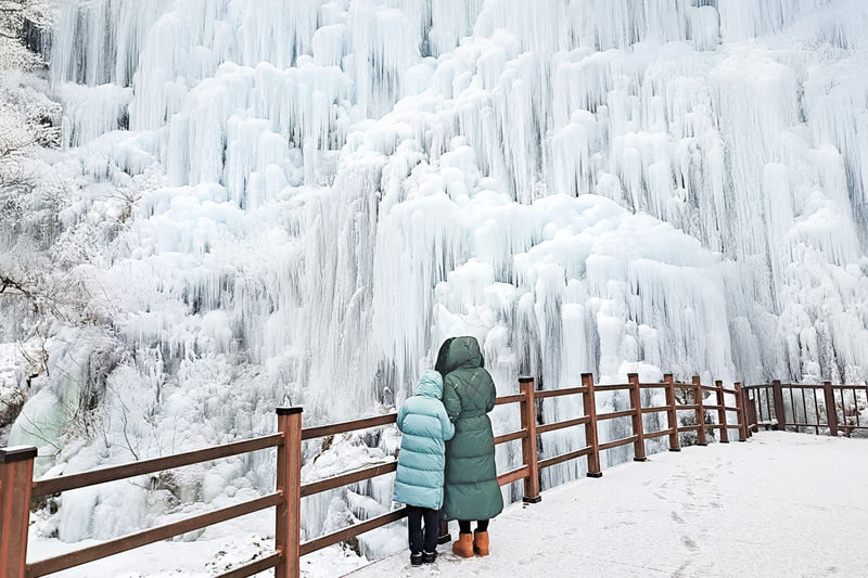 Seoul Eobi Ice Valley & Nami Island Winter Day Tour - Nami Island adds a second kind of stop