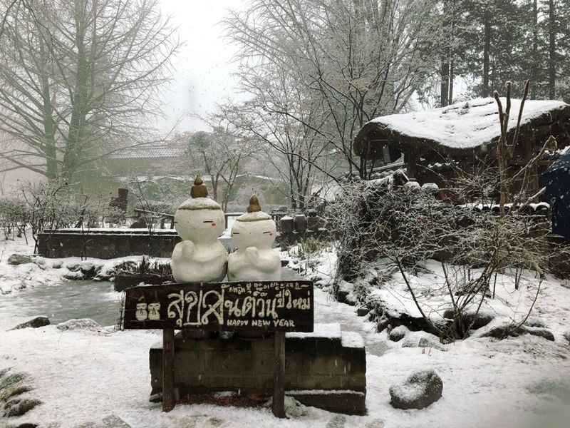 Seoul Eobi Ice Valley & Nami Island Winter Day Tour - The guide can make a busy itinerary feel easy