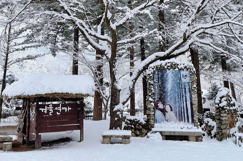 Seoul Eobi Ice Valley & Nami Island Winter Day Tour - Road time and pacing are part of the bargain