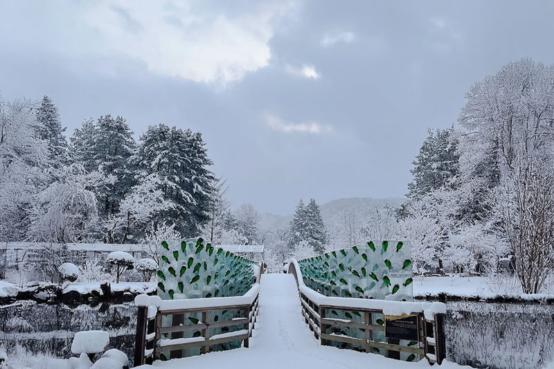 Seoul Eobi Ice Valley & Nami Island Winter Day Tour - Is $64.85 good value?
