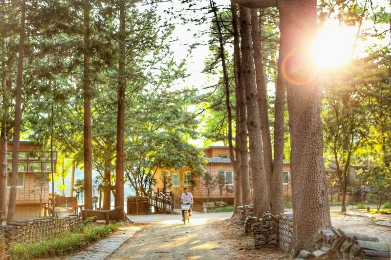 Seoul: Eobi Valley(Winter), Strawberry, Nami Island and Bike - Who Will Love This Tour?