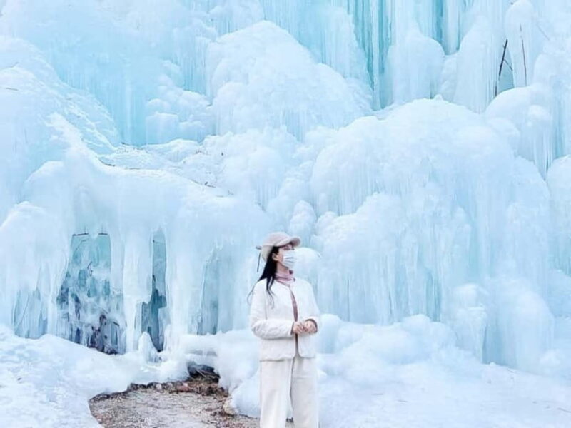 Seoul: Eobi Valley(Winter), Strawberry, Nami Island and Bike - An In-Depth Look at the Tour