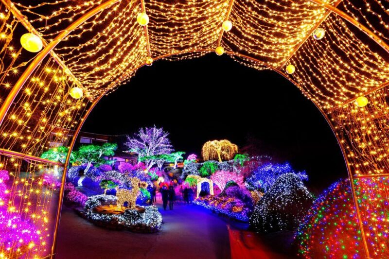 Seoul: Eobi Valley(Winter), Strawberry, Nami Island and Bike - FAQs