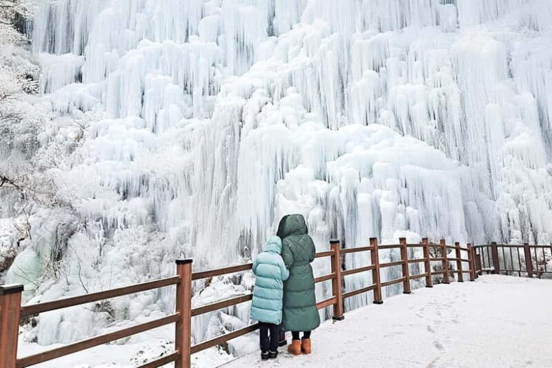 Seoul: Eobi+Nami+Hanbok(+RailBike or Strawberry Options)Tour - Good To Know