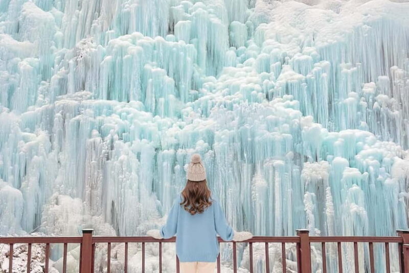 Seoul: Eobi+Nami+Hanbok(+RailBike or Strawberry Options)Tour - Who Will Love This Tour?